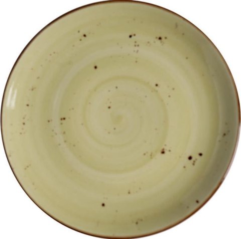 TALERZ PŁYTKI OLIVE 26 cm PORCELANA FINE DINE EARTH COLOURS