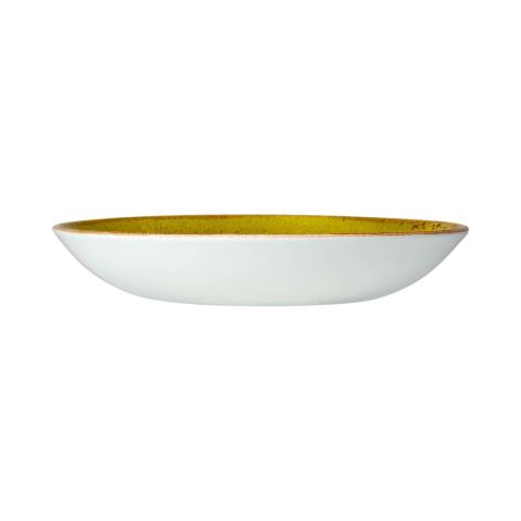 12110570 miska coupe Craft Apple zielona porcelanowa 215 mm Steelite -3