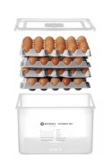 870785 pojemnik na jajka Ovobox 120 Hendi na 120 jajek do chłodni przeźroczysty -8