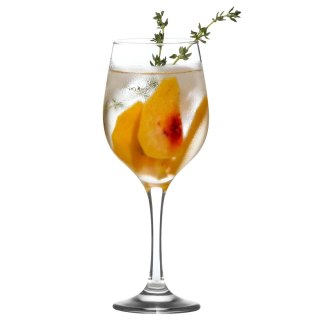 Kieliszek do wina i wody Aspen 455 ml – LAV
