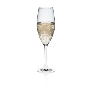 Kieliszek do szampana 230 ml – Rona Edition szkło kryształowe