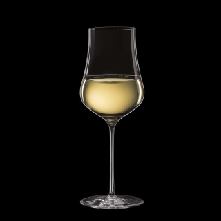 Kieliszek do wina i wody Linea Umana 520 ml – RONA szkło kryształowe