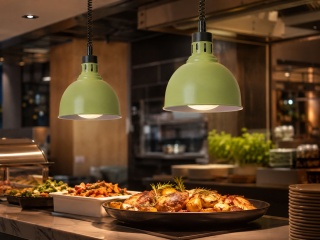 Lampa do podgrzewania potraw zielona kopuła 250W Ø250×207 mm HENDI 273630